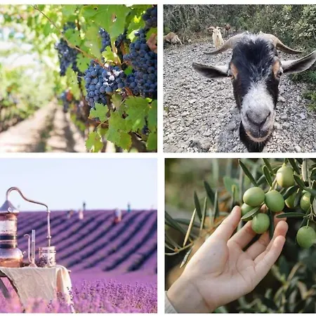 3 Etoiles - Piscine - Ccaideb *